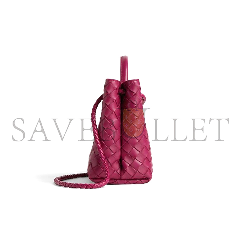 BOTTEGA VENETA SMALL ANDIAMO 743568 (25*22*10.5cm)